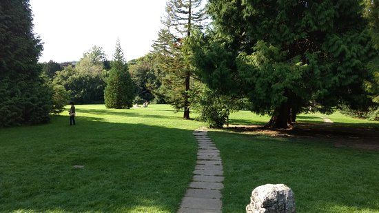 high elms